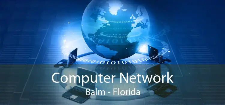 Computer Network Balm - Florida