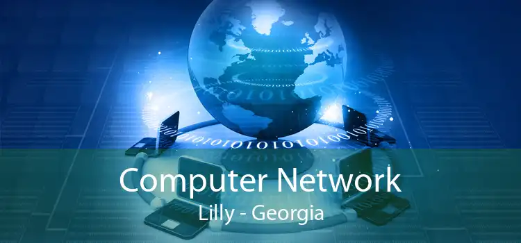 Computer Network Lilly - Georgia