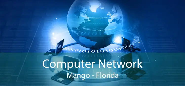 Computer Network Mango - Florida