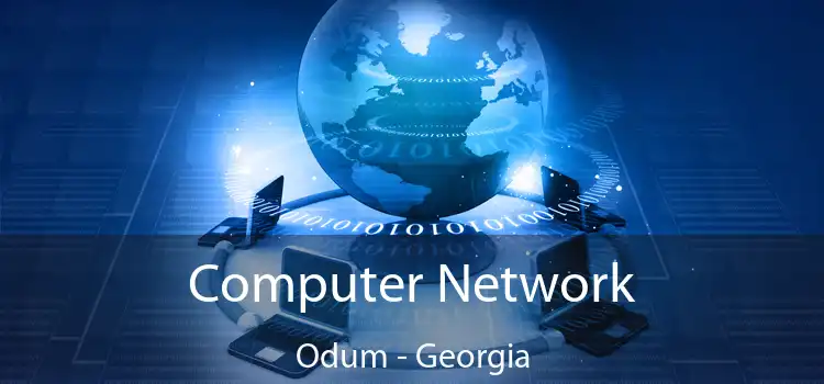 Computer Network Odum - Georgia