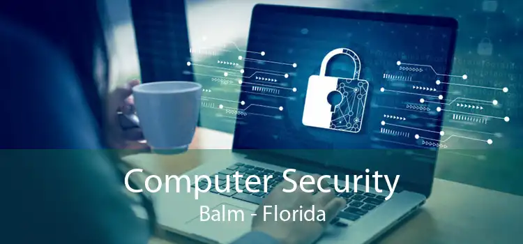 Computer Security Balm - Florida