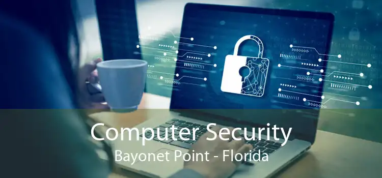 Computer Security Bayonet Point - Florida