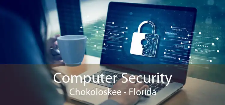 Computer Security Chokoloskee - Florida