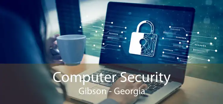Computer Security Gibson - Georgia