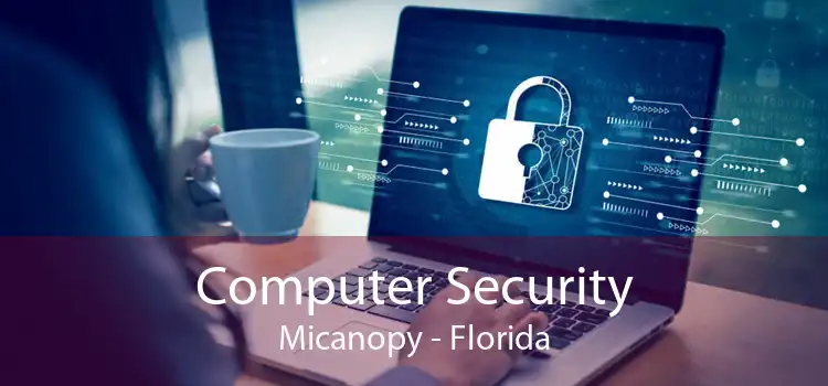 Computer Security Micanopy - Florida