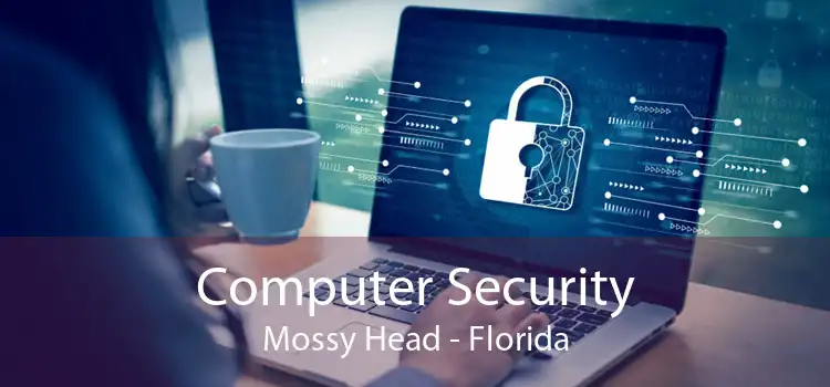 Computer Security Mossy Head - Florida