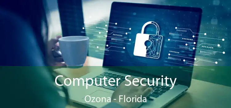 Computer Security Ozona - Florida