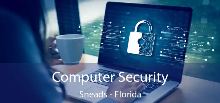 Computer Security Sneads - Florida