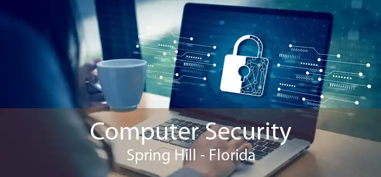 Computer Security Spring Hill - Florida