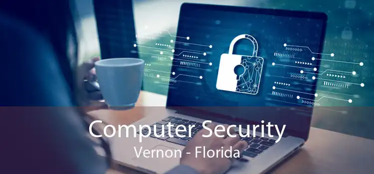 Computer Security Vernon - Florida