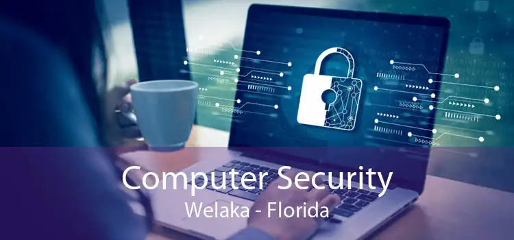 Computer Security Welaka - Florida