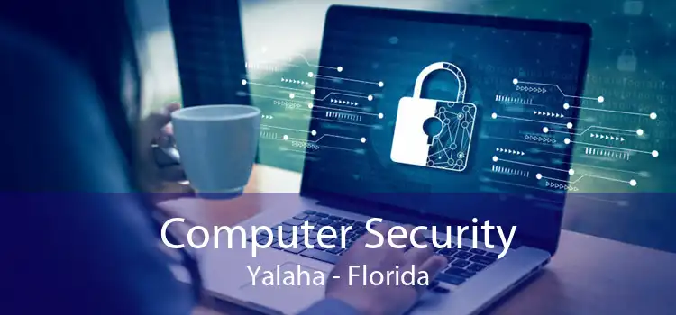 Computer Security Yalaha - Florida