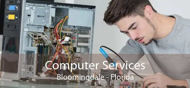 Computer Services Bloomingdale - Florida