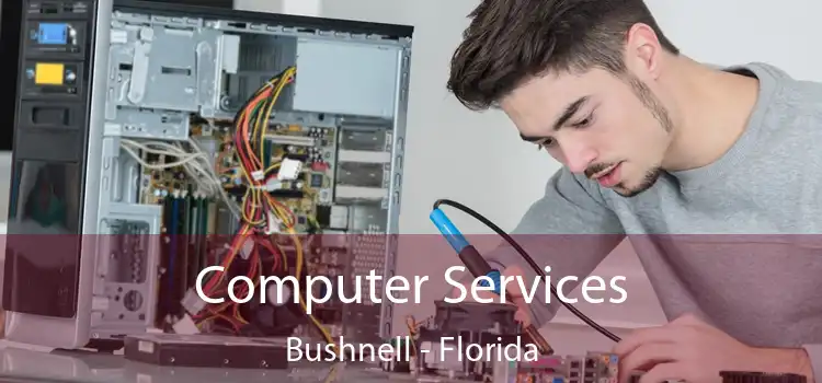 Computer Services Bushnell - Florida