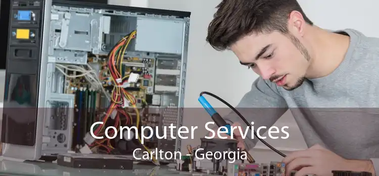 Computer Services Carlton - Georgia
