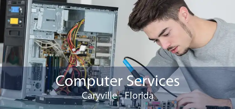 Computer Services Caryville - Florida