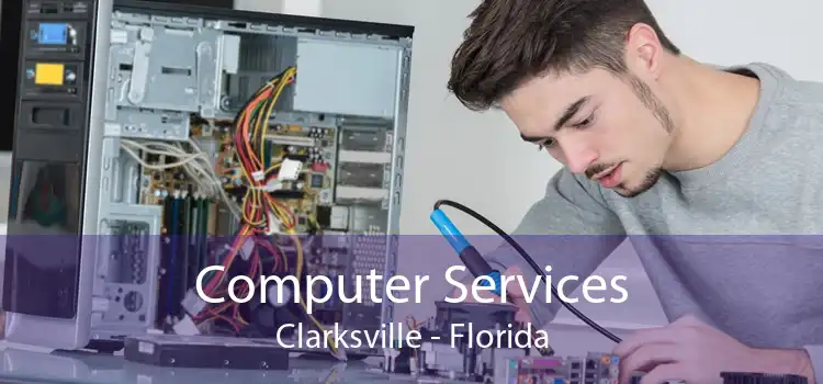 Computer Services Clarksville - Florida