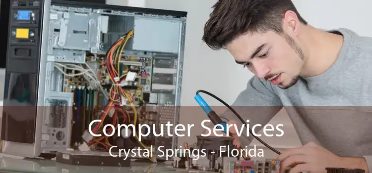 Computer Services Crystal Springs - Florida