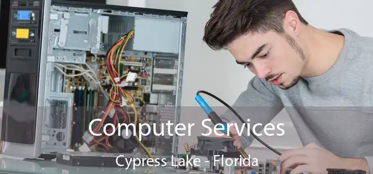 Computer Services Cypress Lake - Florida