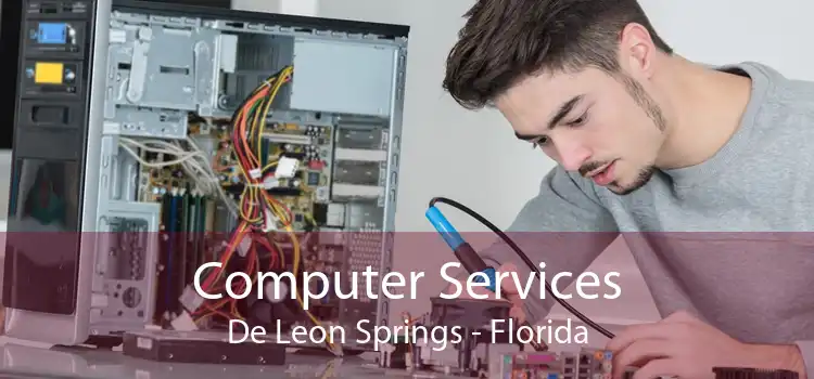 Computer Services De Leon Springs - Florida