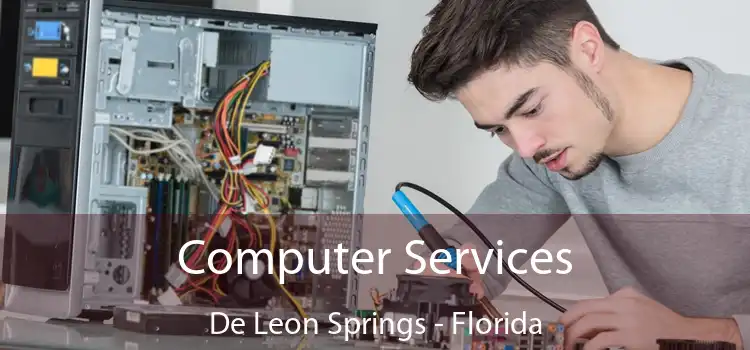 Computer Services De Leon Springs - Florida