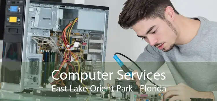 Computer Services East Lake-Orient Park - Florida