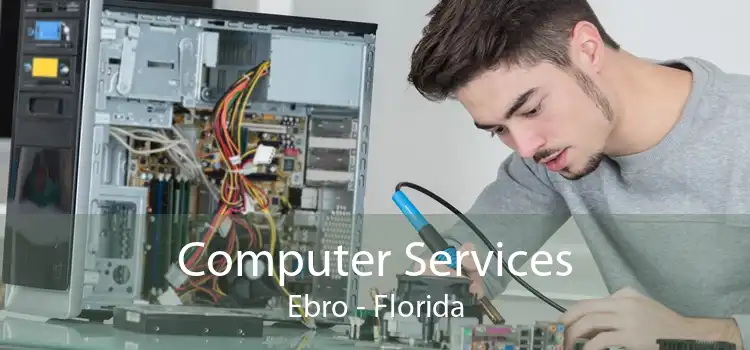 Computer Services Ebro - Florida
