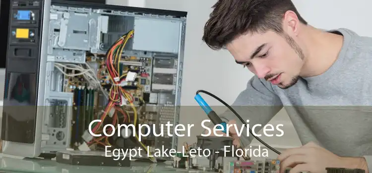 Computer Services Egypt Lake-Leto - Florida