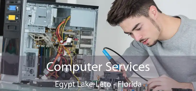 Computer Services Egypt Lake-Leto - Florida