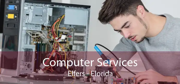 Computer Services Elfers - Florida