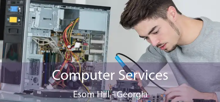 Computer Services Esom Hill - Georgia