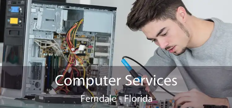 Computer Services Ferndale - Florida