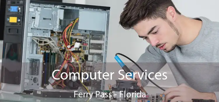 Computer Services Ferry Pass - Florida