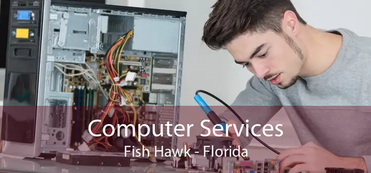Computer Services Fish Hawk - Florida
