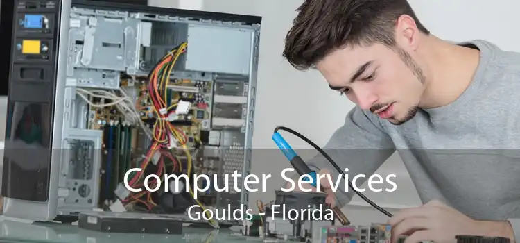 Computer Services Goulds - Florida