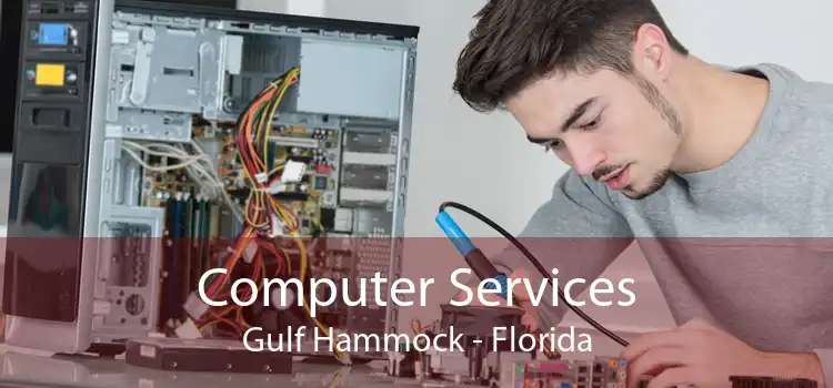 Computer Services Gulf Hammock - Florida