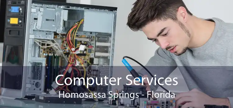 Computer Services Homosassa Springs - Florida
