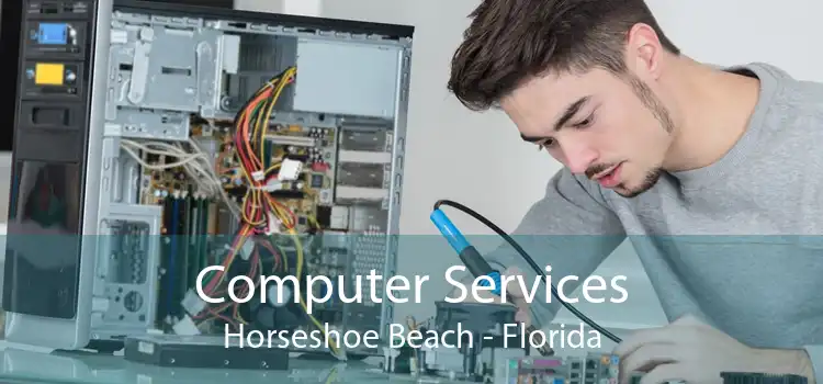 Computer Services Horseshoe Beach - Florida