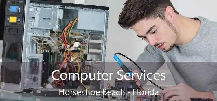 Computer Services Horseshoe Beach - Florida