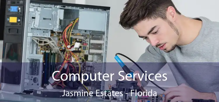 Computer Services Jasmine Estates - Florida