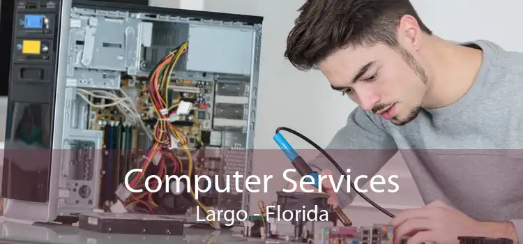 Computer Services Largo - Florida