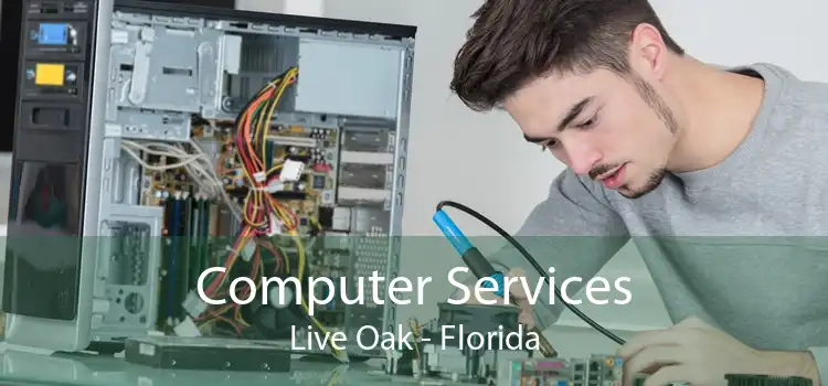 Computer Services Live Oak - Florida