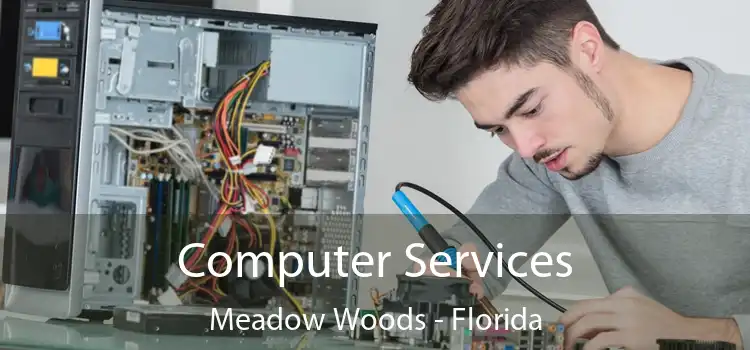 Computer Services Meadow Woods - Florida