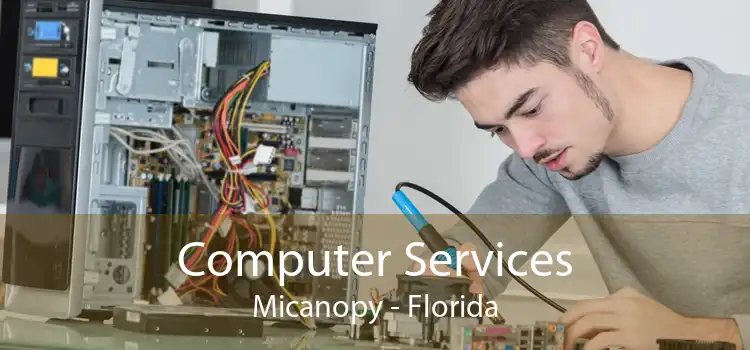 Computer Services Micanopy - Florida