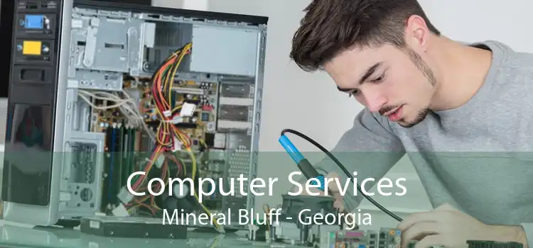 Computer Services Mineral Bluff - Georgia