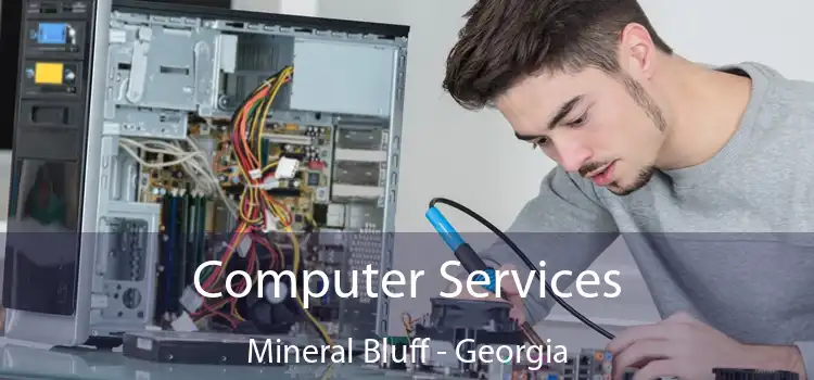 Computer Services Mineral Bluff - Georgia