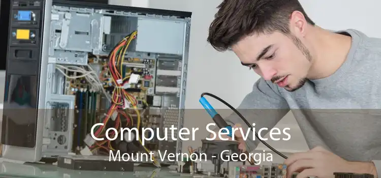 Computer Services Mount Vernon - Georgia