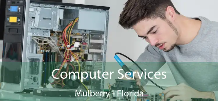 Computer Services Mulberry - Florida