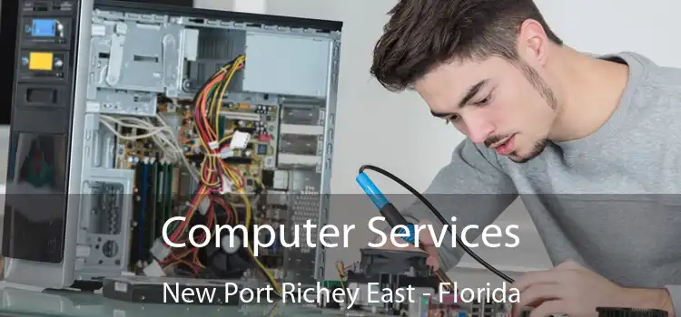 Computer Services New Port Richey East - Florida