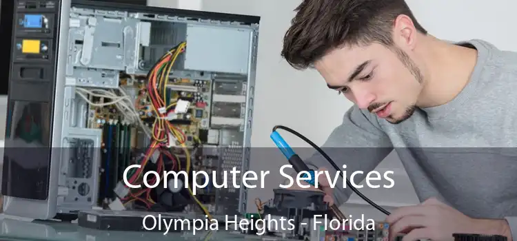 Computer Services Olympia Heights - Florida